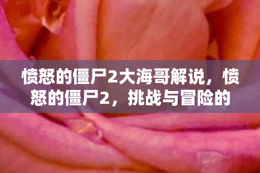 愤怒的僵尸2大海哥解说，愤怒的僵尸2，挑战与冒险的延续