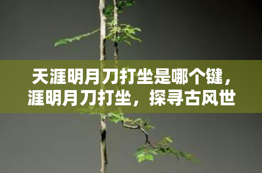 天涯明月刀打坐是哪个键,涯明月刀打坐,探寻古风世界的静谧之道 天涯明月刀打坐是哪个键,涯明月刀打坐,探寻古风世界的静谧之道