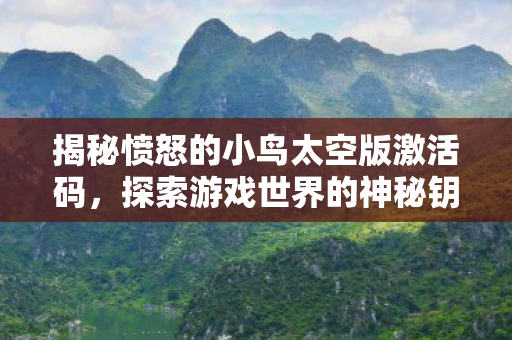 揭秘愤怒的小鸟太空版激活码，探索游戏世界的神秘钥匙