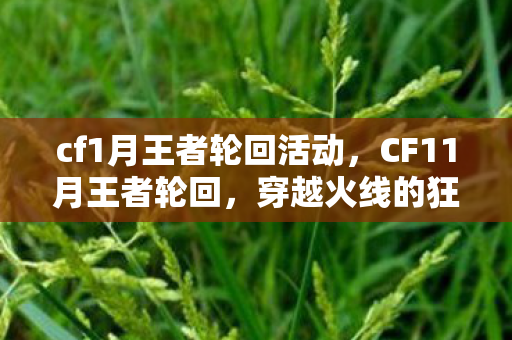 cf1月王者轮回活动,CF11月王者轮回,穿越火线的狂欢盛宴 cf1月王者轮回活动,CF11月王者轮回,穿越火线的狂欢盛宴