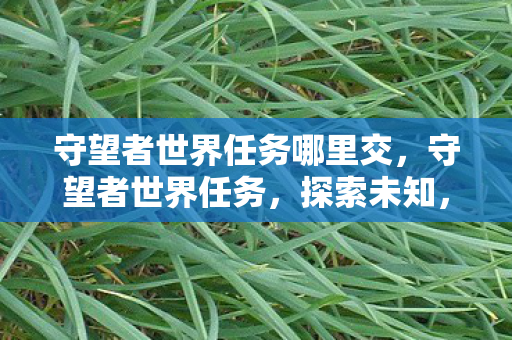 守望者世界任务哪里交,守望者世界任务,探索未知,守护正义 守望者世界任务哪里交,守望者世界任务,探索未知,守护正义