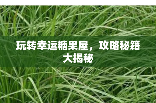 玩转幸运糖果屋，攻略秘籍大揭秘
