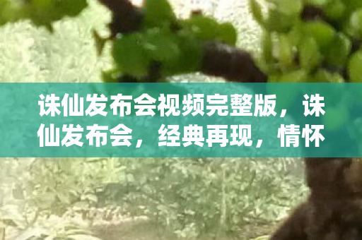 诛仙发布会视频完整版,诛仙发布会,经典再现,情怀与创新的碰撞 诛仙发布会视频完整版,诛仙发布会,经典再现,情怀与创新的碰撞