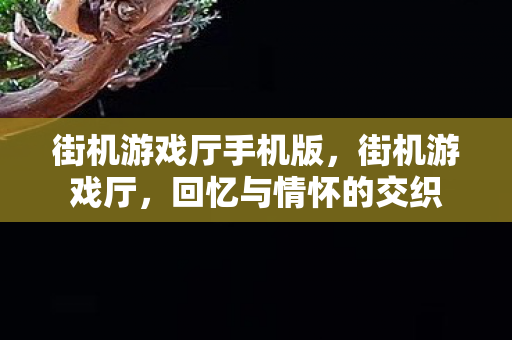 街机游戏厅手机版,街机游戏厅,回忆与情怀的交织 街机游戏厅手机版,街机游戏厅,回忆与情怀的交织