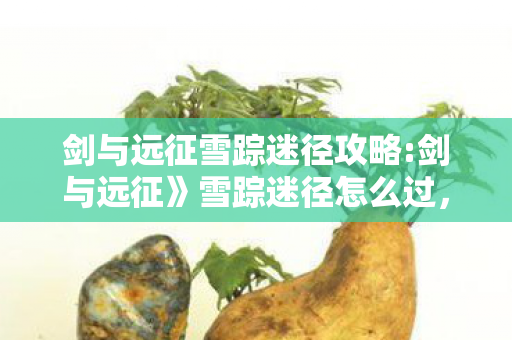剑与远征雪踪迷径攻略:剑与远征》雪踪迷径怎么过,剑与远征雪踪迷径,探索未知世界的奇幻之旅 剑与远征雪踪迷径攻略:剑与远征》雪踪迷径怎么过,剑与远征雪踪迷径,探索未知世界的奇幻之旅