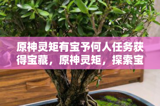 原神灵矩有宝予何人任务获得宝藏,原神灵矩,探索宝藏的奥秘与传承 原神灵矩有宝予何人任务获得宝藏,原神灵矩,探索宝藏的奥秘与传承
