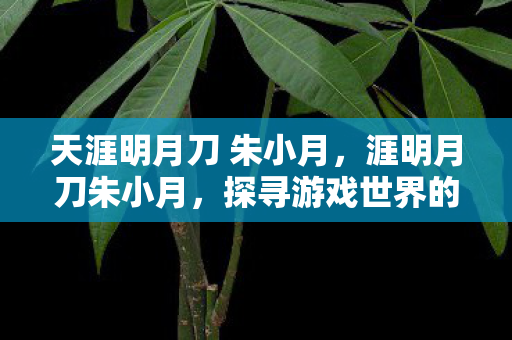 天涯明月刀 朱小月,涯明月刀朱小月,探寻游戏世界的独特魅力 天涯明月刀 朱小月,涯明月刀朱小月,探寻游戏世界的独特魅力