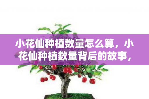 小花仙种植数量怎么算,小花仙种植数量背后的故事,探索玩家们的热爱与坚持 小花仙种植数量怎么算,小花仙种植数量背后的故事,探索玩家们的热爱与坚持