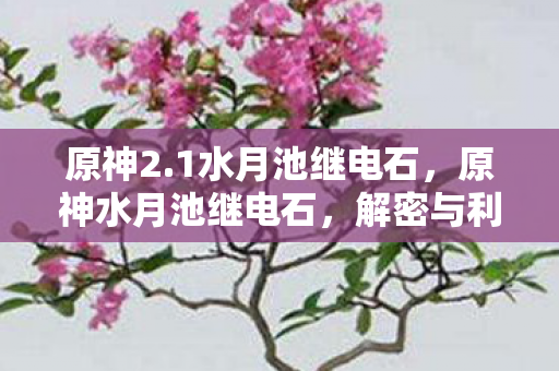 原神2.1水月池继电石,原神水月池继电石,解密与利用的全面指南 原神2.1水月池继电石,原神水月池继电石,解密与利用的全面指南