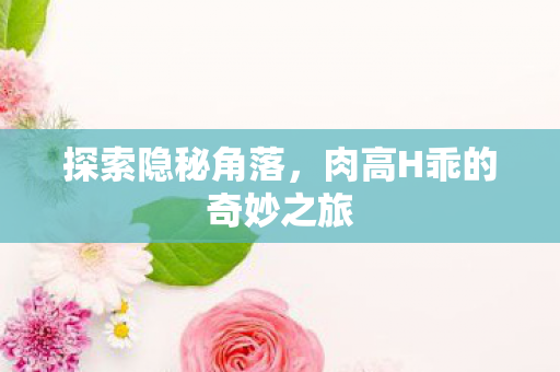 探索隐秘角落，肉高H乖的奇妙之旅