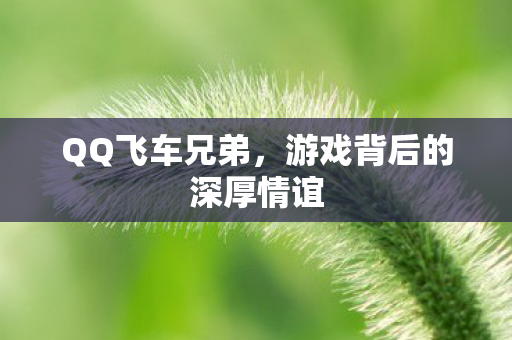 QQ飞车兄弟，游戏背后的深厚情谊