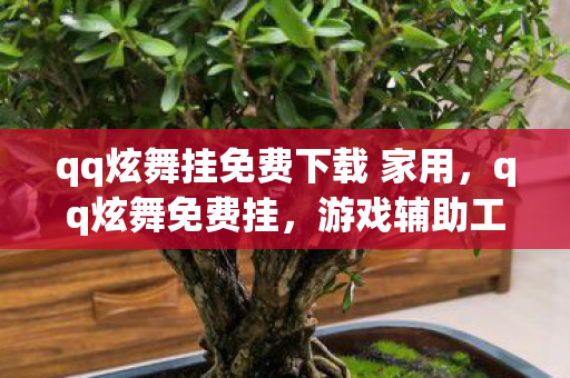 qq炫舞挂免费下载 家用,qq炫舞免费挂,游戏辅助工具的正确使用与注意事项 qq炫舞挂免费下载 家用,qq炫舞免费挂,游戏辅助工具的正确使用与注意事项