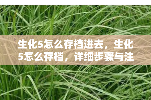 生化5怎么存档进去,生化5怎么存档,详细步骤与注意事项 生化5怎么存档进去,生化5怎么存档,详细步骤与注意事项
