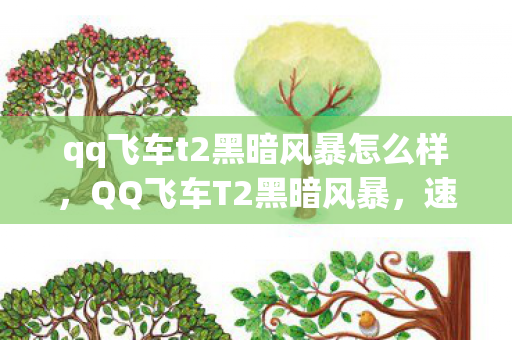 qq飞车t2黑暗风暴怎么样,QQ飞车T2黑暗风暴,速度与激情的完美结合 qq飞车t2黑暗风暴怎么样,QQ飞车T2黑暗风暴,速度与激情的完美结合