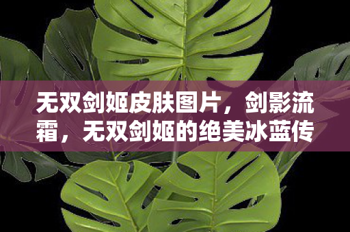 无双剑姬皮肤图片，剑影流霜，无双剑姬的绝美冰蓝传说