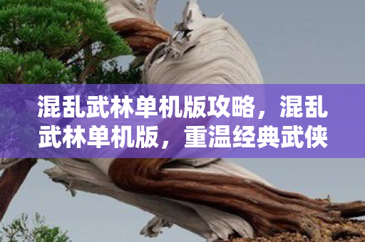 混乱武林单机版攻略,混乱武林单机版,重温经典武侠的单机之旅 混乱武林单机版攻略,混乱武林单机版,重温经典武侠的单机之旅