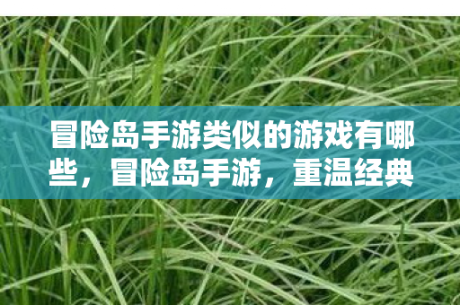 冒险岛手游类似的游戏有哪些,冒险岛手游,重温经典,探索未知 冒险岛手游类似的游戏有哪些,冒险岛手游,重温经典,探索未知