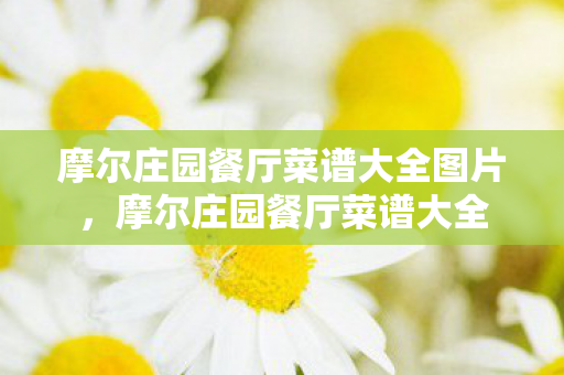 摩尔庄园餐厅菜谱大全图片,摩尔庄园餐厅菜谱大全 摩尔庄园餐厅菜谱大全图片,摩尔庄园餐厅菜谱大全