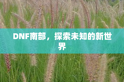 DNF南部,探索未知的新世界 DNF南部,探索未知的新世界