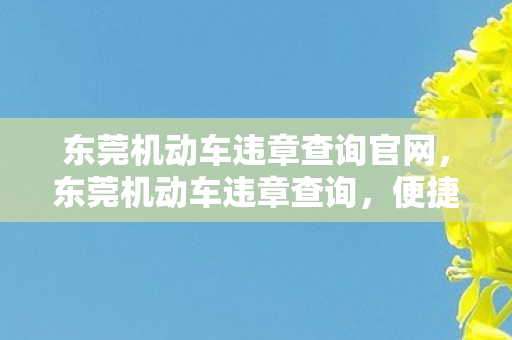 东莞机动车违章查询官网,东莞机动车违章查询,便捷、高效、安全的方式 东莞机动车违章查询官网,东莞机动车违章查询,便捷、高效、安全的方式