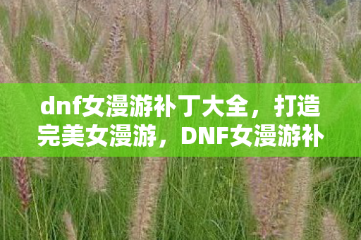 dnf女漫游补丁大全,打造完美女漫游,DNF女漫游补丁大揭秘 dnf女漫游补丁大全,打造完美女漫游,DNF女漫游补丁大揭秘