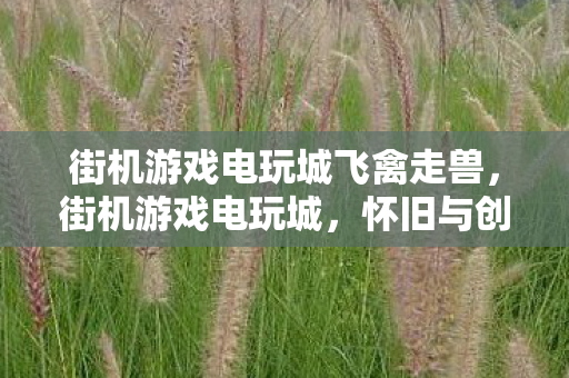 街机游戏电玩城飞禽走兽,街机游戏电玩城,怀旧与创新的碰撞 街机游戏电玩城飞禽走兽,街机游戏电玩城,怀旧与创新的碰撞