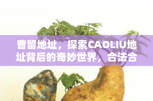 曹留地址,探索CAOLIU地址背后的奇妙世界,合法合规的娱乐新天地 曹留地址,探索CAOLIU地址背后的奇妙世界,合法合规的娱乐新天地