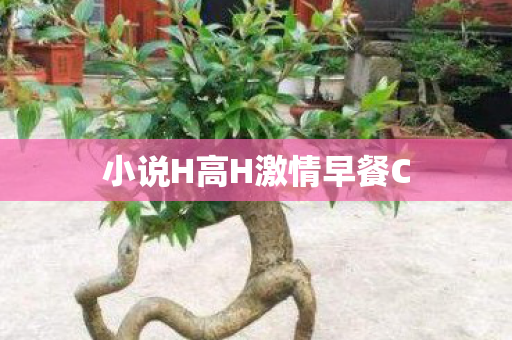 小说H高H激情早餐C 小说H高H激情早餐C