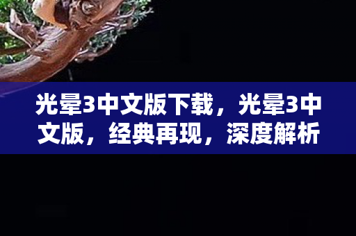 光晕3中文版下载,光晕3中文版,经典再现,深度解析游戏魅力 光晕3中文版下载,光晕3中文版,经典再现,深度解析游戏魅力
