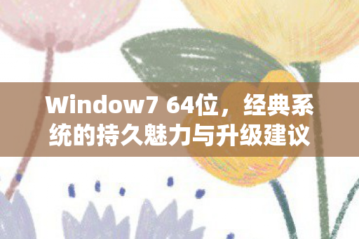 Window7 64位，经典系统的持久魅力与升级建议