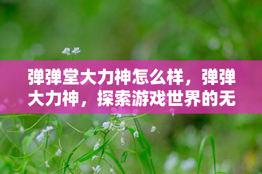 弹弹堂大力神怎么样,弹弹大力神,探索游戏世界的无限可能 弹弹堂大力神怎么样,弹弹大力神,探索游戏世界的无限可能