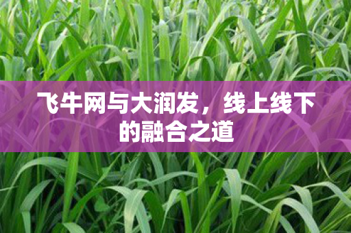 飞牛网与大润发，线上线下的融合之道