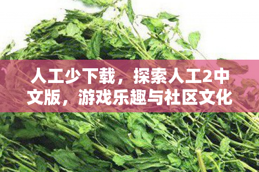 人工少下载,探索人工2中文版,游戏乐趣与社区文化的双重体验 人工少下载,探索人工2中文版,游戏乐趣与社区文化的双重体验