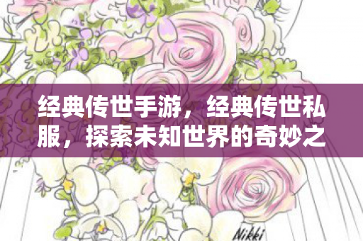 经典传世手游，经典传世私服，探索未知世界的奇妙之旅