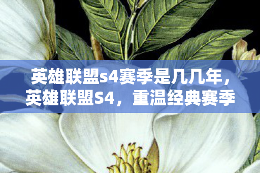 英雄联盟s4赛季是几几年,英雄联盟S4,重温经典赛季,回忆与荣耀并存 英雄联盟s4赛季是几几年,英雄联盟S4,重温经典赛季,回忆与荣耀并存