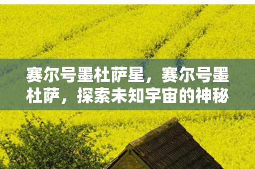 赛尔号墨杜萨星，赛尔号墨杜萨，探索未知宇宙的神秘之旅