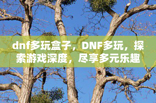 dnf多玩盒子,DNF多玩,探索游戏深度,尽享多元乐趣 dnf多玩盒子,DNF多玩,探索游戏深度,尽享多元乐趣