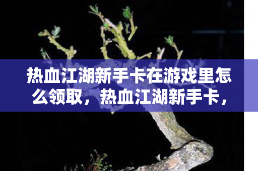 热血江湖新手卡在游戏里怎么领取,热血江湖新手卡,开启江湖之旅的必备神器 热血江湖新手卡在游戏里怎么领取,热血江湖新手卡,开启江湖之旅的必备神器