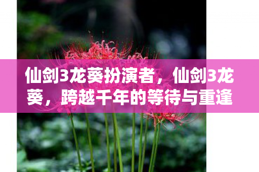 仙剑3龙葵扮演者,仙剑3龙葵,跨越千年的等待与重逢 仙剑3龙葵扮演者,仙剑3龙葵,跨越千年的等待与重逢