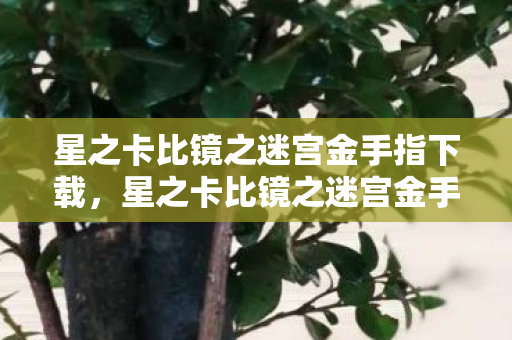 星之卡比镜之迷宫金手指下载，星之卡比镜之迷宫金手指，解锁游戏新境界的神奇工具
