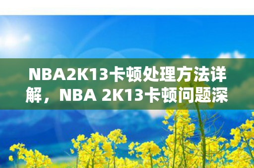 NBA2K13卡顿处理方法详解,NBA 2K13卡顿问题深度解析,优化与解决方案 NBA2K13卡顿处理方法详解,NBA 2K13卡顿问题深度解析,优化与解决方案