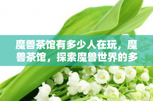 魔兽茶馆有多少人在玩，魔兽茶馆，探索魔兽世界的多元文化与社区生态