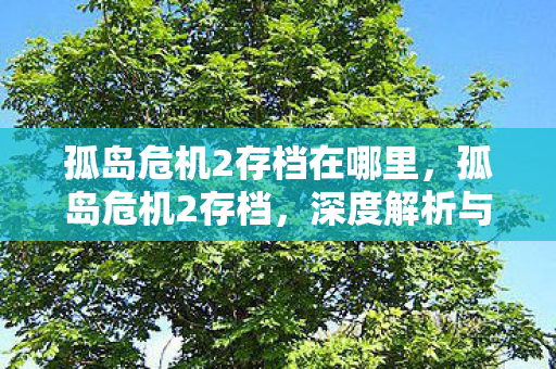 孤岛危机2存档在哪里,孤岛危机2存档,深度解析与分享 孤岛危机2存档在哪里,孤岛危机2存档,深度解析与分享
