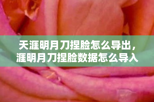 天涯明月刀捏脸怎么导出，涯明月刀捏脸数据怎么导入