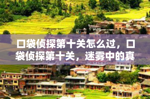 口袋侦探第十关怎么过,口袋侦探第十关,迷雾中的真相 口袋侦探第十关怎么过,口袋侦探第十关,迷雾中的真相
