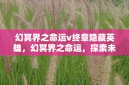 幻冥界之命运v终章隐藏英雄,幻冥界之命运,探索未知世界的奇幻之旅 幻冥界之命运v终章隐藏英雄,幻冥界之命运,探索未知世界的奇幻之旅