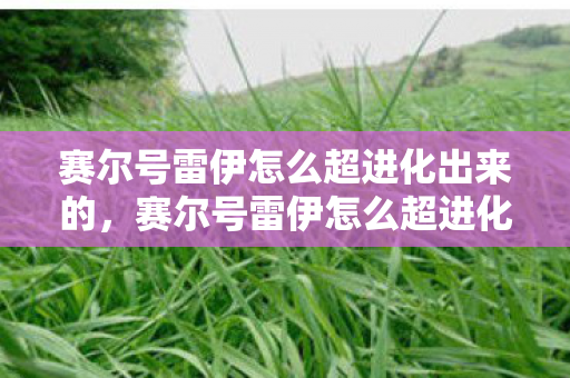 赛尔号雷伊怎么超进化出来的,赛尔号雷伊怎么超进化 赛尔号雷伊怎么超进化出来的,赛尔号雷伊怎么超进化