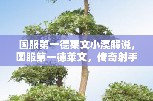 国服第一德莱文小漠解说，国服第一德莱文，传奇射手的荣耀之路