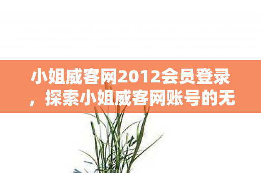探索小姐威客网账号的无限可能图片