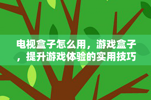 电视盒子怎么用,游戏盒子,提升游戏体验的实用技巧 电视盒子怎么用,游戏盒子,提升游戏体验的实用技巧